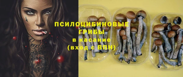 альфа пвп Богородицк