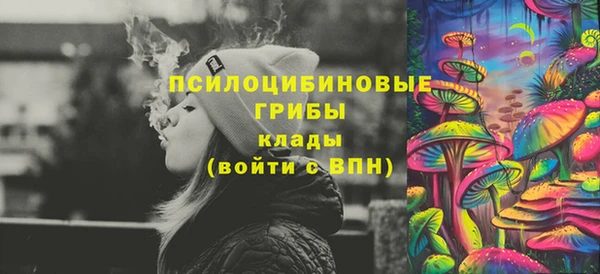 mdpv Богданович